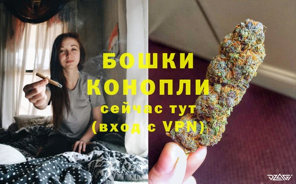 дживик Белокуриха