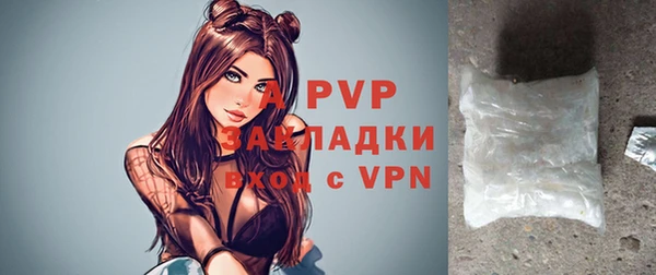 spice Беломорск