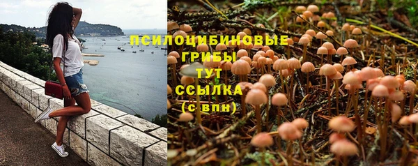 гидропоника Белоозёрский