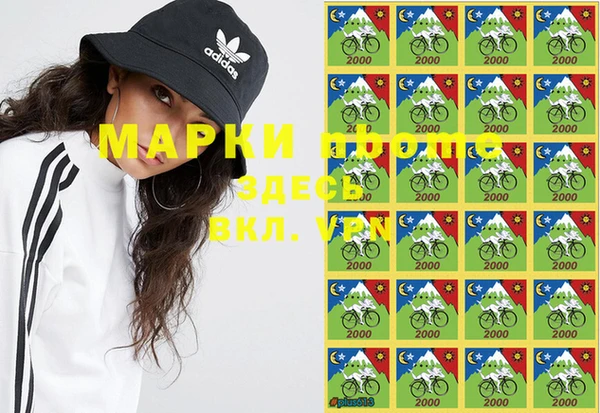 дживик Белокуриха
