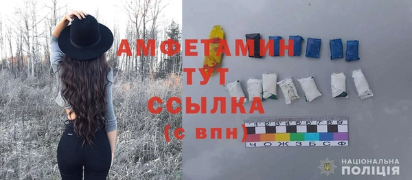 дживик Белокуриха