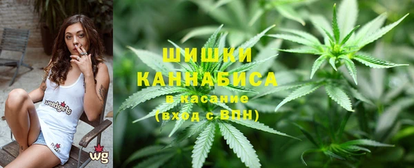 дживик Белокуриха