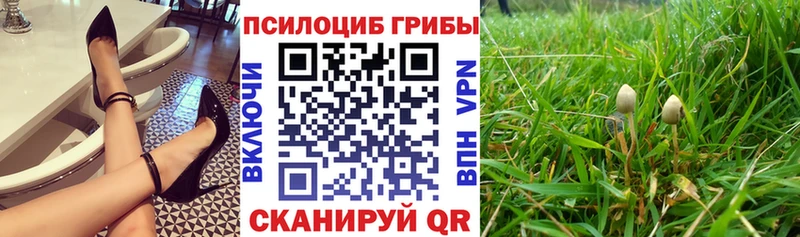 даркнет сайт OMG ТОР Псилоцибиновые грибы GOLDEN TEACHER Енисейск